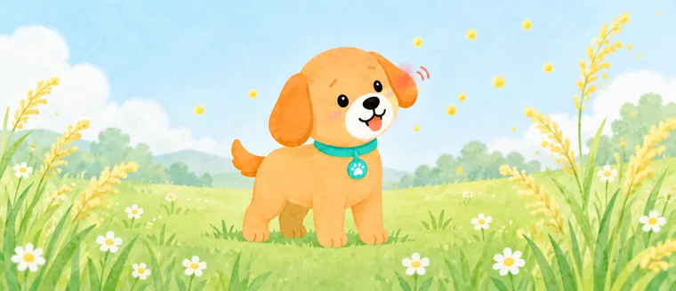 Il cane Amaeru in un prato fiorito tra i pollini primaverili